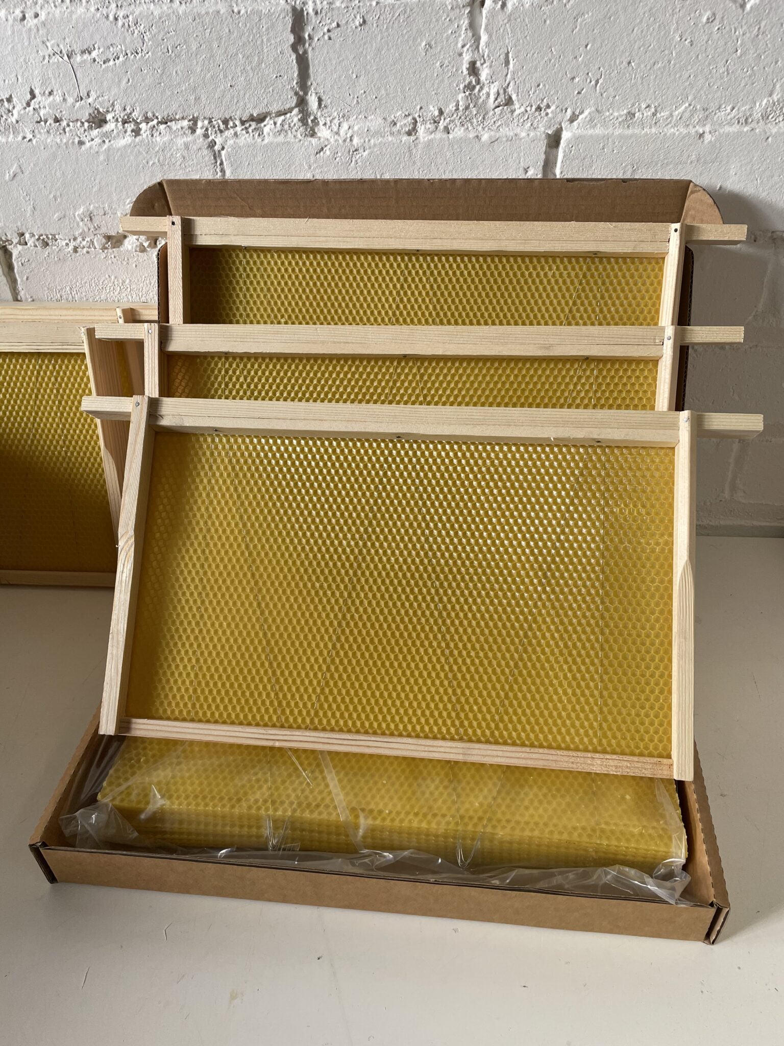 Deep Brood Frames 12x14 (Hoffman Style selfspacing) and wax foundation