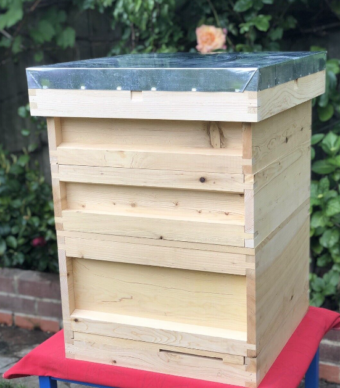 Second grade ANATOLIOAN WHITE PINE beehive BS National Beehive